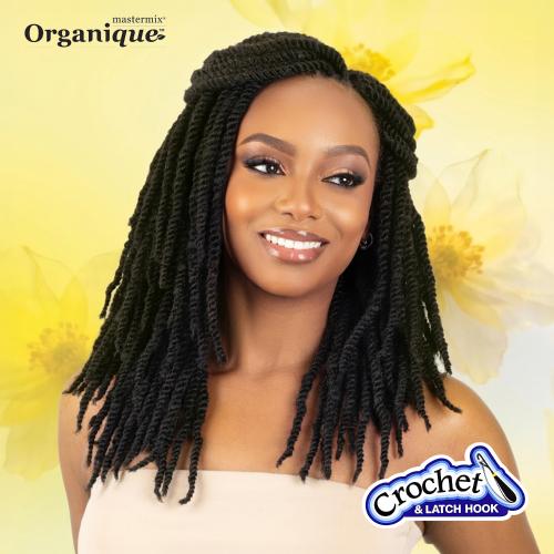 Shake-N-Go Braids Organique Mastermix 3X Fresh Kinky Twist 12