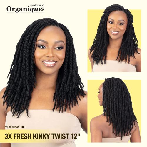 Shake-N-Go Braids Organique Mastermix 3X Fresh Kinky Twist 12
